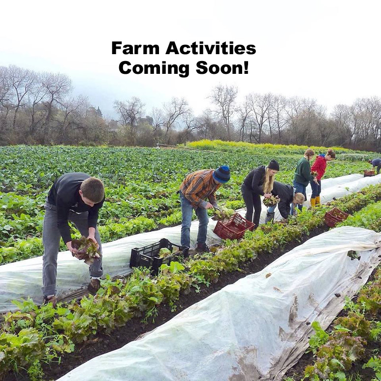Farm-Activities-Coming-Soon