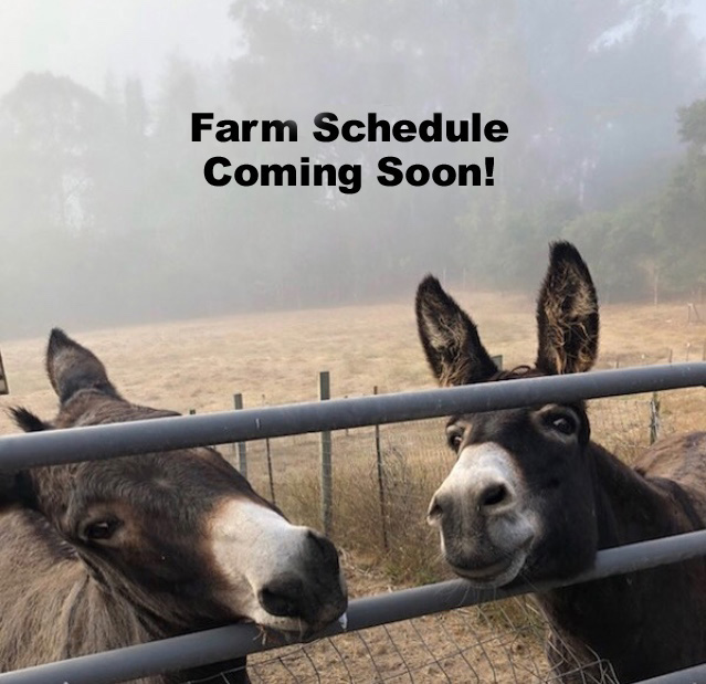 Farm-Schedule-Coming-Soon