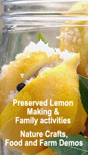 lemon-side-bar