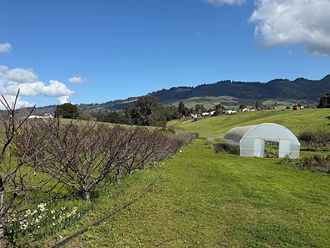 main-farm-pict