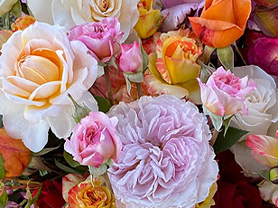 side-roses