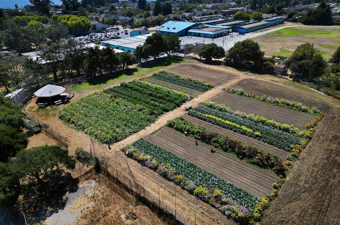 Live Oak school farm2