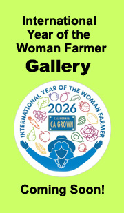 Woman-Gallery-Sidebar
