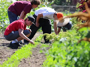 student-farmers-web