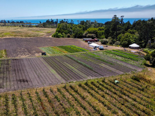drone-view