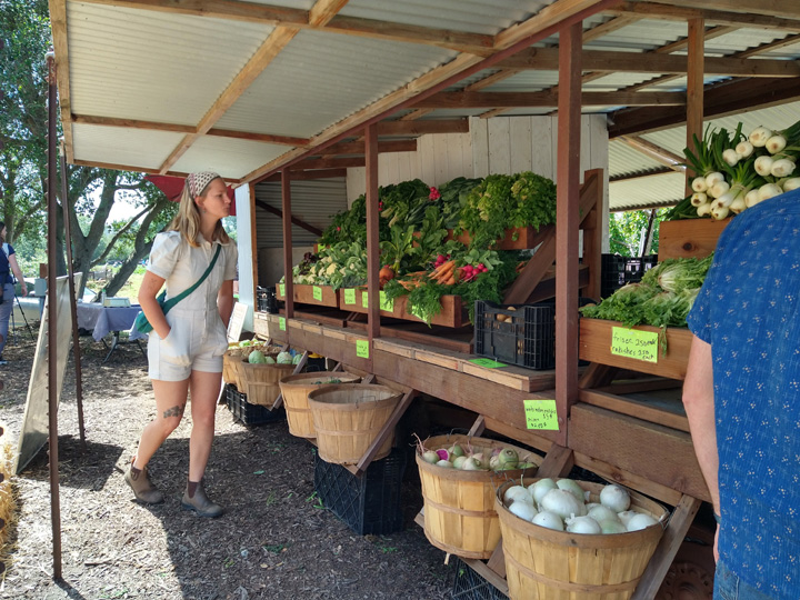 Live-Earth-Farm-3