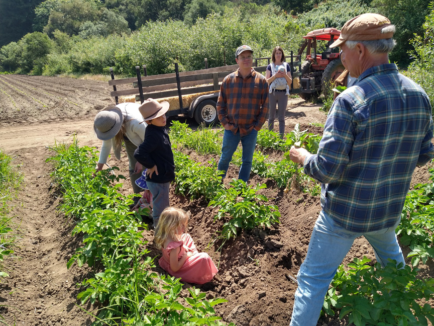 Live-Earth-Farm-6