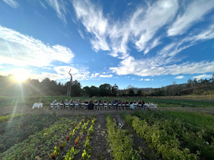 SC-Permaculture-1
